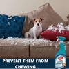 Simple Solution Stain and Odour Remover Trig (Cat) 