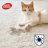 Simple Solution Stain and Odour Remover Trig (Cat) 