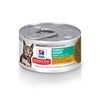 Hills Science Plan Feline Perfect Weight - Veg & Chicken Stew 