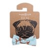 Dog's Life Bow-Tie (Marble Blue)