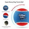 GiGwi Original Small Balls (3 pack)