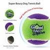 GiGwi Original Small Balls (3 pack)