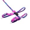 Zee.Cat Leash and Harness (Error #502)