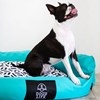 Dog's Life Bed Urban Lounger (Turquoise)