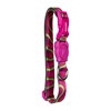 Zee.Dog Collar Jelly