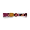 Zee.Dog Collar Selva 