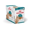Royal Canin Feline Ageing +11 (Box)