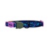 Zee.Cat Cat Collar Trek 