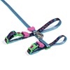 Zee.Cat Leash & Harness Aerobic