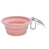 Olly & Max Collapsible Bowl (Pink)