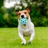FIFA EZ Grip Ball (Blue)