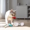 FIFA Cat Soccer Fun (3 Pack)