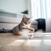FIFA Cat Feather Ball