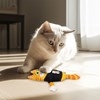 FIFA Cat Soccer Kicker