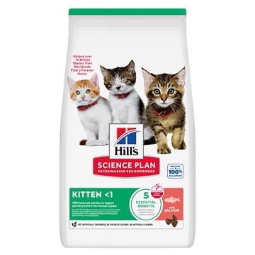 Hill's Kitten Salmon