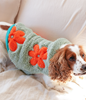Dog's Life Daisy Cape