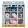 Birthday Box Set for Cats 