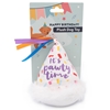 Birthday Pawty Hat Toy