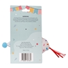 Birthday Party DUO (2 pack)