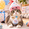 Birthday Party DUO (2 pack)