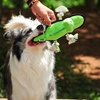 V-PET Alligator