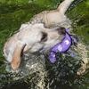 V-PET Crab 