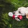 V-PET Lobster