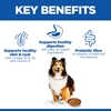 Hill's Canine Sensitive Skin & Stomach Pate 