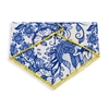Dog's Life Avian Bandana (Blue)