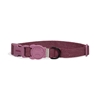 Zee.Dog Hibiscus Collar