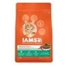 Iams Adult (Chicken & Salmon) 