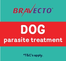 Bravecto promotion & competition for Dogs 2026