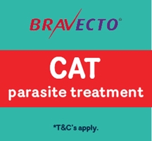 Bravecto promotion & competition for Cats 2026