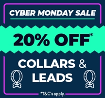 Cyber Monday 2023 - 20% off Dog Collars &amp; Lead
