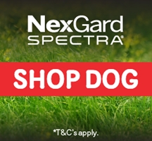 NexGard Spectra promotion 2026