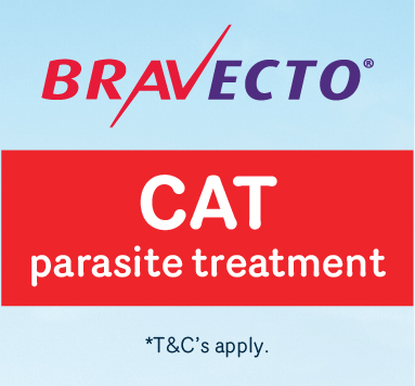 10% OFF any Bravecto products promotion Cat