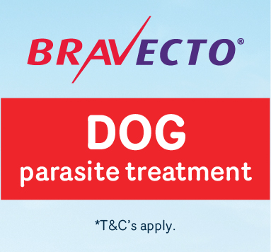 10% OFF any Bravecto products promotion Dog