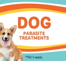 Tick, Flea & Dewormer promotion Dogs