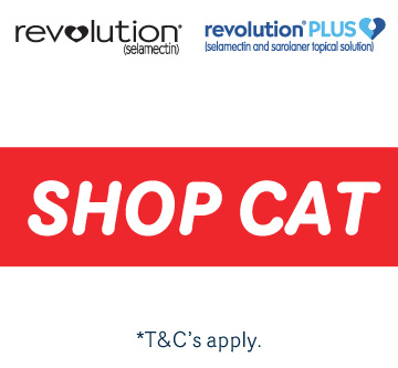 Revolution Plus Cat