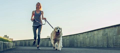 Brilliant ways to exercise with your pet