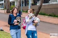 Small dogs at Paws on the Promenade