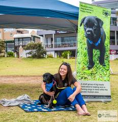 Project Dog - Casey & Bianca