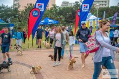 Paws on the Promenade dog walk