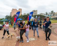 Paws on the Promenade dog walk starting point