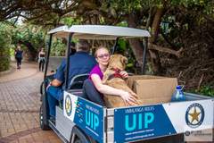 UIP at Paws on the Promenade