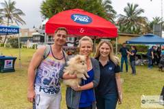 Pomeranian at Absolute Pets Paws on the Promenade