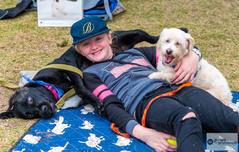 3-legged dog, a blind dog & one very happy young girl