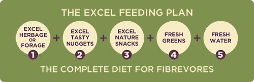 Burgess Excel Feeding Plan