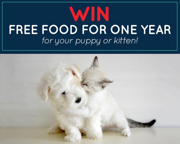 Hill's puppy kitten food competition_Absolute Pets