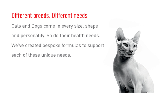 Royal Canin - Different breeds different needs.